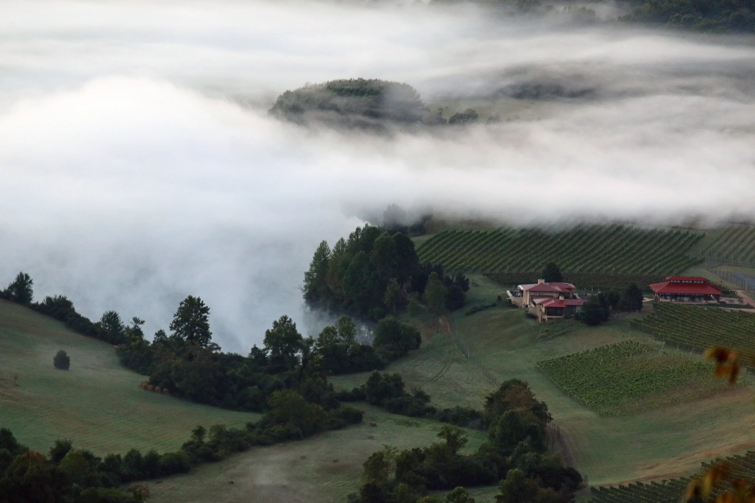 Afton Mountain Vineyards - Eat & Drink - Craft Beverages