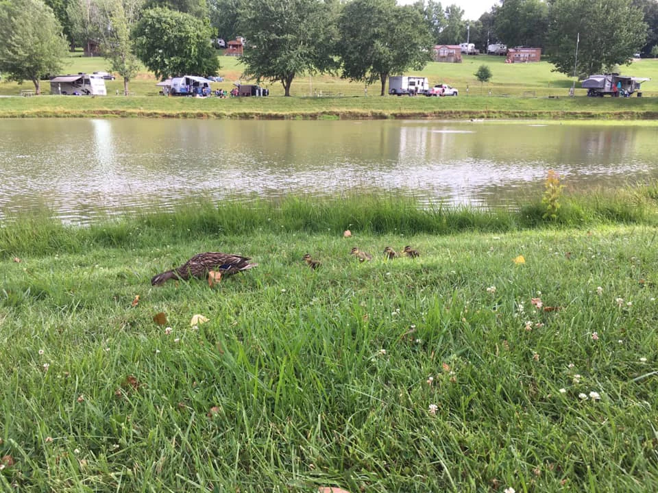 Walnut Hills Campground and RV Park - Get Outdoors - Camping