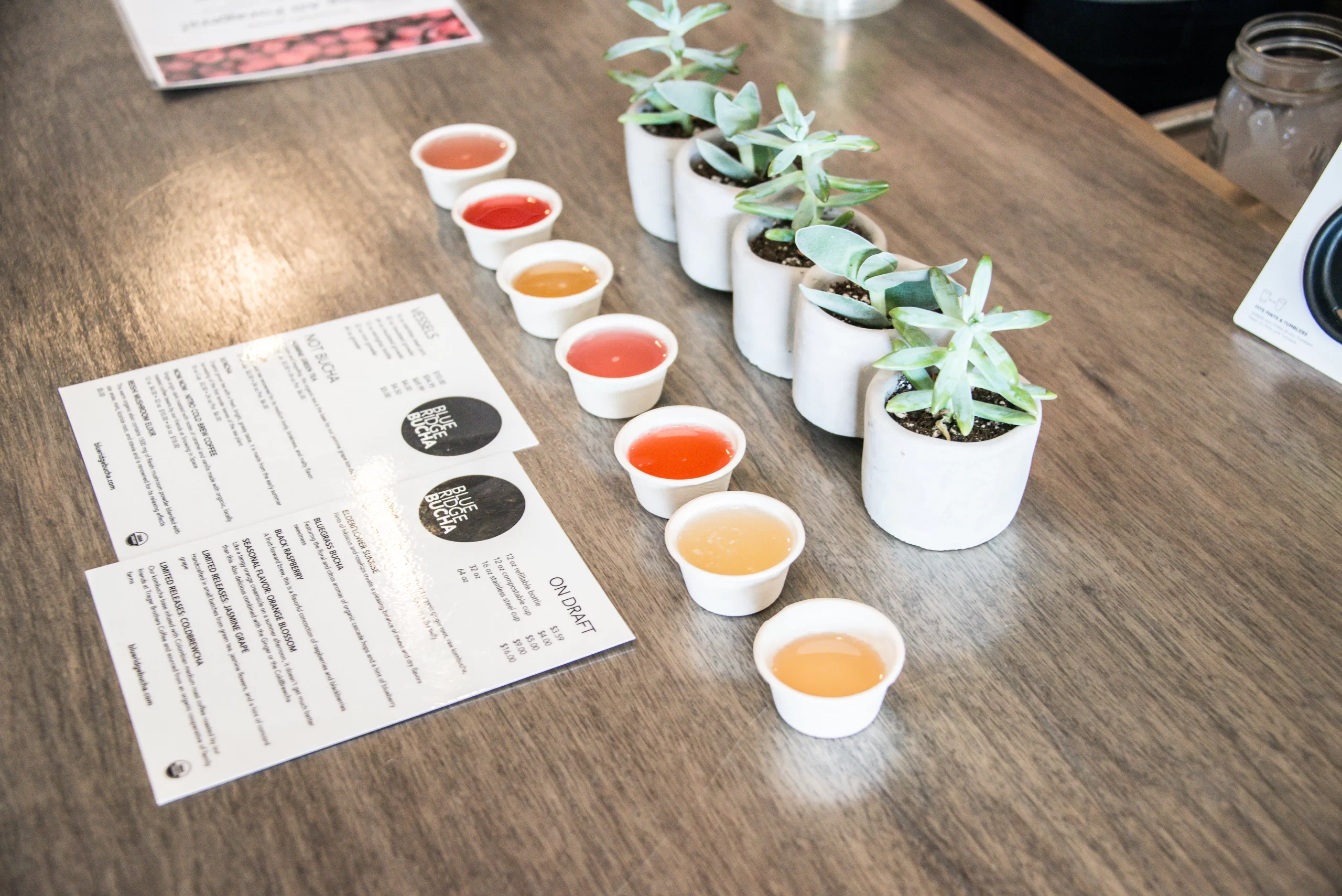 Blue Ridge Bucha - Craft Beverages