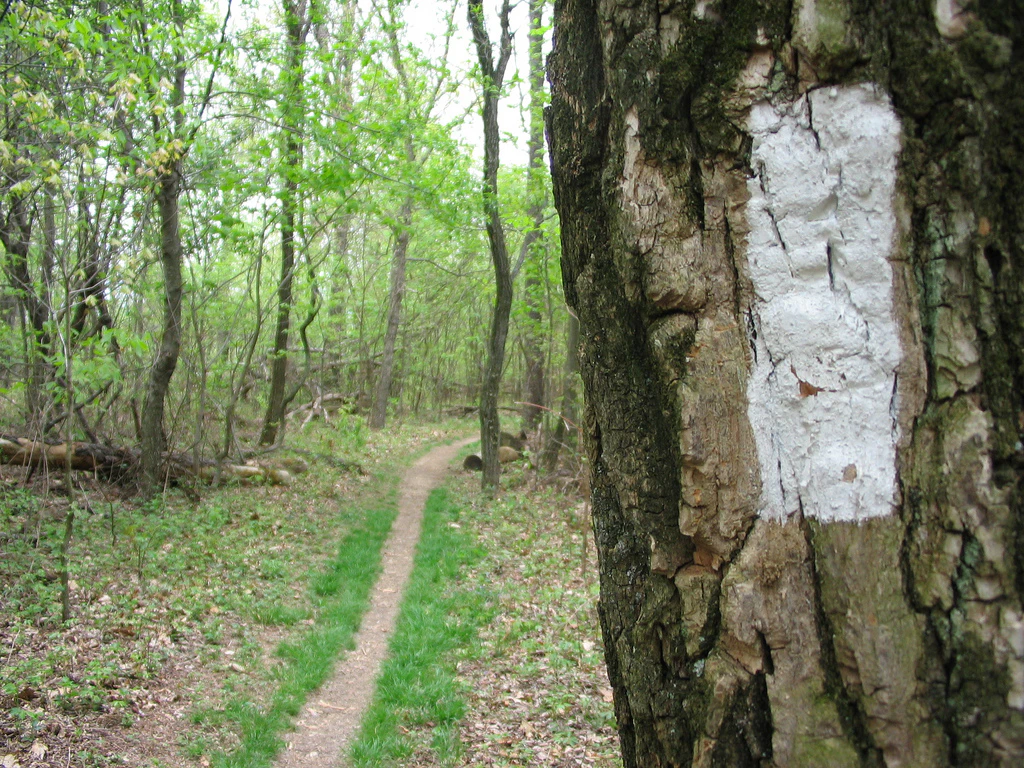 Appalachian Trail - Get Outdoors - Hiking, Shenandoah National Park, Blue Ridge Parkway