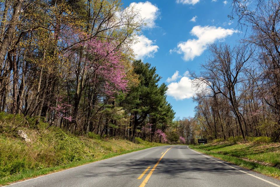 Shenandoah National Park and Skyline Drive - Get Outdoors - Shenandoah National Park