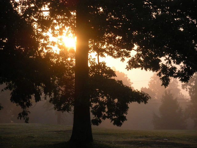 Swannanoa Golf & Country Club - See & Do - Attractions