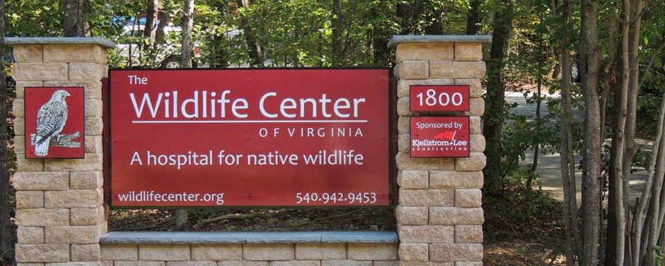 Wildlife Center of Virginia - See & Do - Attractions
