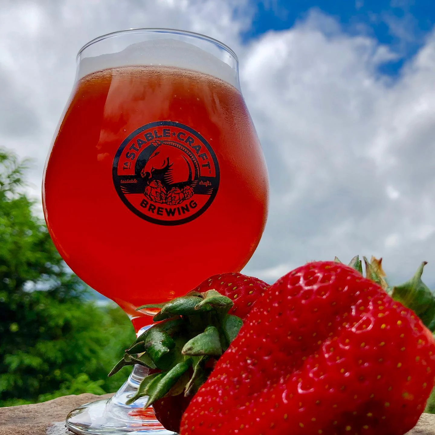 Stable Craft Brewing Company - Eat & Drink - Craft Beverages