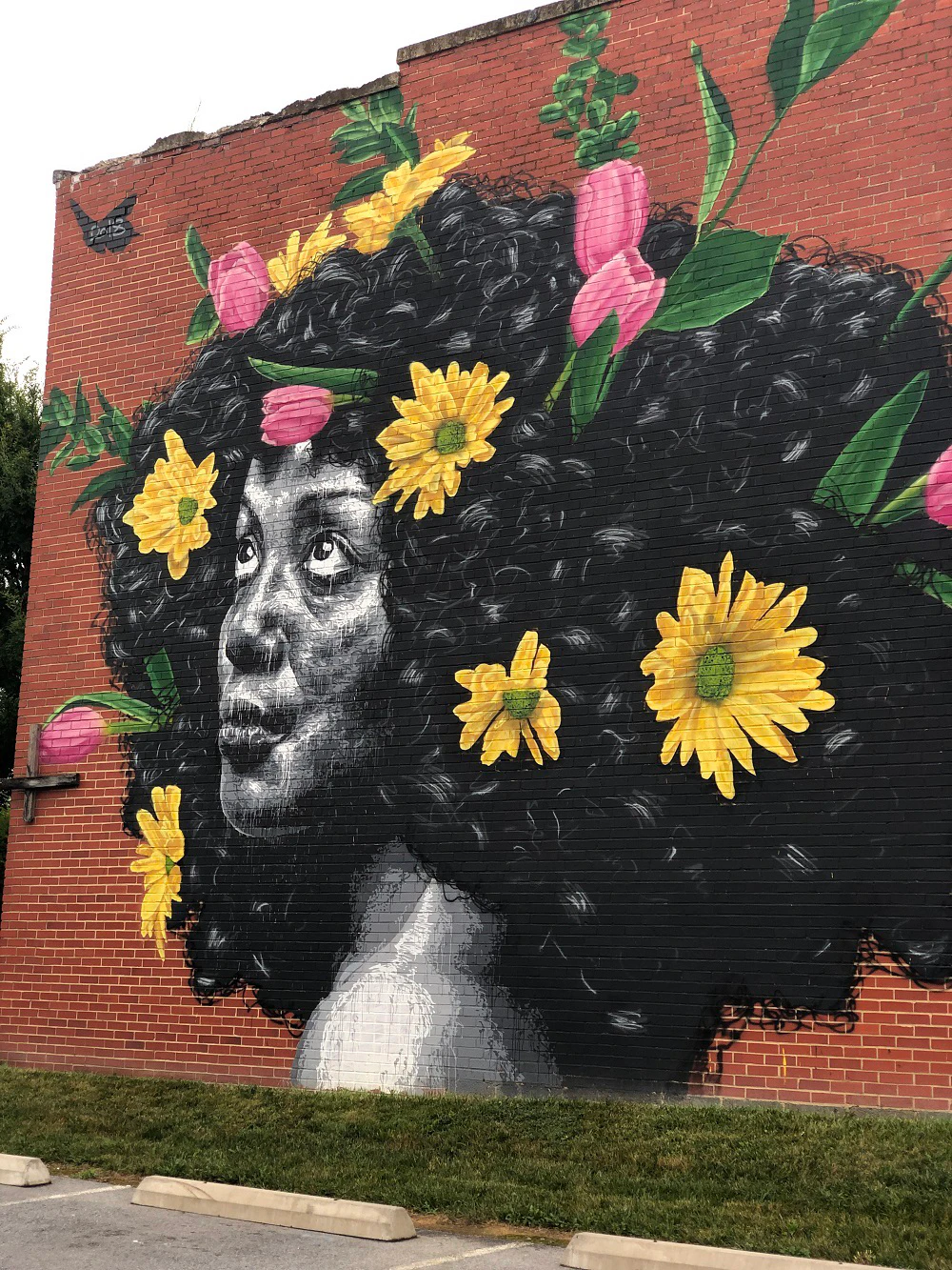 Waynesboro Street Arts Trail - See & Do - Street Art