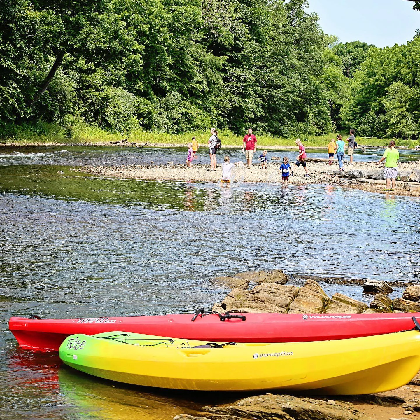 Family Friendly Summer Fun